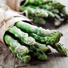 Green Atlas Asparagus Bare Root Crowns - 25 Two-Year-Old Crowns (Asparagus officinalis)
