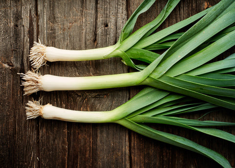 American Flag Leek Seeds - Allium ampeloprasum - Heirloom, Cold-Hardy, 200 Seeds