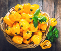 Jamaican Yellow Habanero Pepper Seeds - Capsicum chinense, 200,000–300,000 SHU, Non-GMO