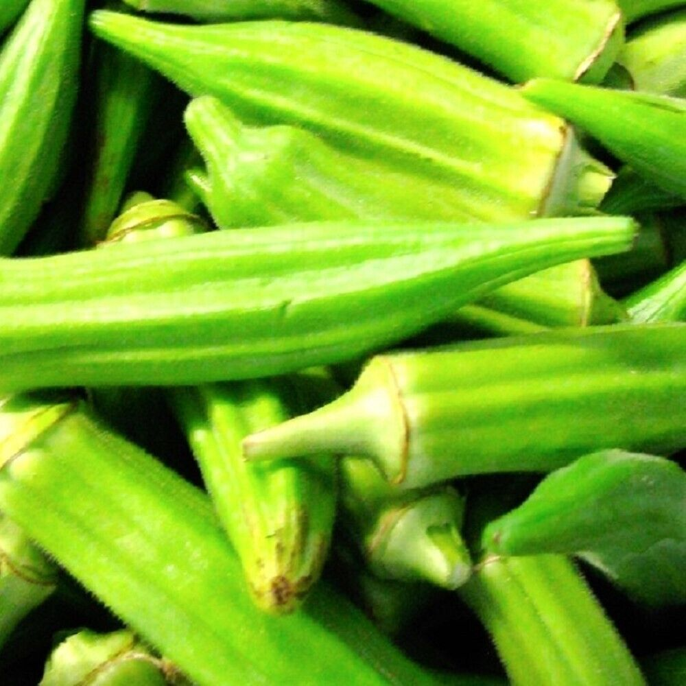 Okra Clemson Spineless Seeds - Abelmoschus esculentus, 5g, Heirloom, Non-GMO