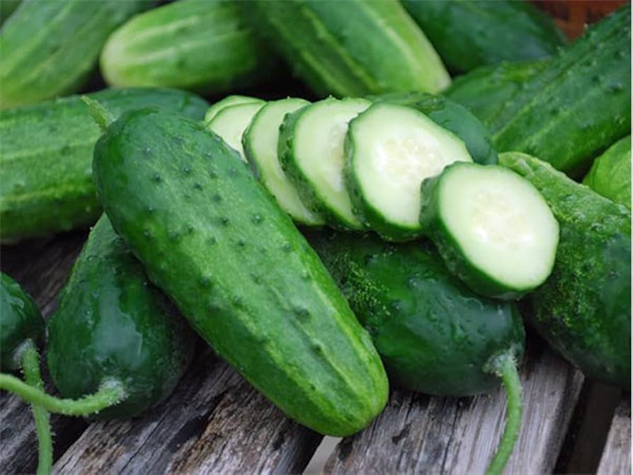 Boston Pickling Cucumber Seeds - 50 Heirloom, Non-GMO, 55 Days
