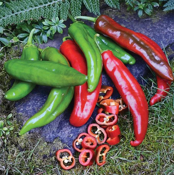Anaheim Hot Pepper Seeds (Capsicum annuum) – 30 Seeds, Mildly Spicy for Planting