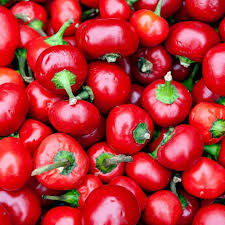 Large Hot Cherry Pepper Seeds – Heirloom, Mild-Heat, High Yield | 250mg