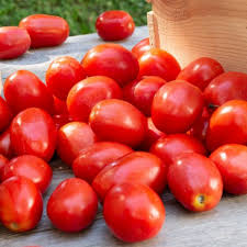 100 Heirloom Tomato Mix Seeds - Open-Pollinated, Non-GMO | Lycopersicon esculentum