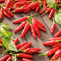 Tabasco Hot Pepper Seeds (250 mg) - Capsicum frutescens Heirloom for Planting