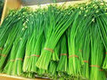 Flowering Chinese Leek Seeds (Garlic Chives) – Heirloom Perennial, 250mg for Planting