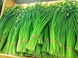 Flowering Chinese Leek Seeds (Garlic Chives) – Heirloom Perennial, 250mg for Planting