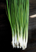 Onion Evergreen Bunching Seeds - Allium fistulosum | Green Onion Seed (250mg)