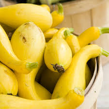 Early Summer Crookneck Squash Seeds - 10 Seeds, Heirloom, Fast Growing, High Yield