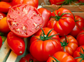 Beefsteak Tomato Seeds - Solanum lycopersicum | Large 1-2 lb Fruits for Slicing