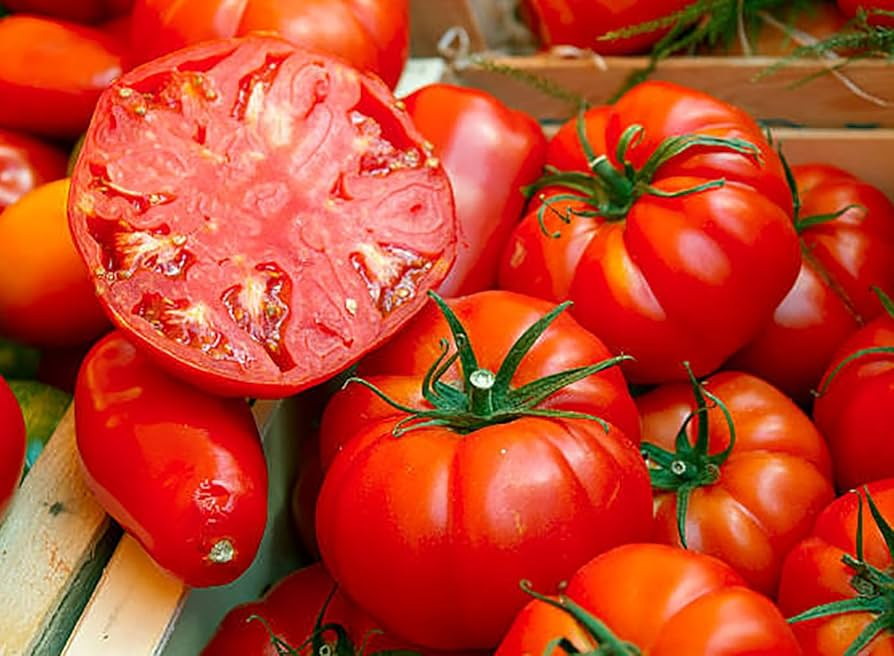 Beefsteak Tomato Seeds - Solanum lycopersicum | Large 1-2 lb Fruits for Slicing