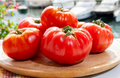 Floradel Tomato Seeds - Heirloom Slicing Solanum lycopersicum, 100 mg Packet