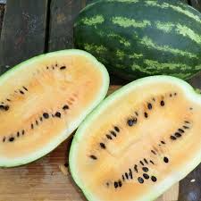 Mountain Sweet Yellow Watermelon Seeds – Heirloom, Yellow Flesh, 50+ Seeds