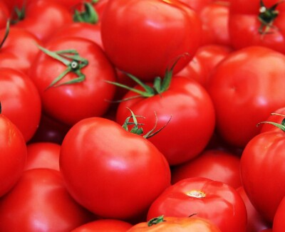 Floridade Tomato Seeds - Heirloom, Heat-Tolerant, Determinate - 100 Seeds