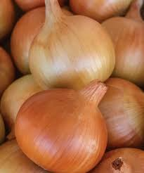 Patterson Onion Seeds - 500+ High-Yield Allium cepa (Non-GMO) USA-Grown
