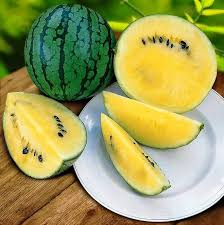 Yellow Doll Seedless Watermelon Seeds - 50+ Premium Seeds, USA-Grown