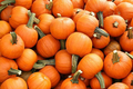 25 Wee-B-Little Pumpkin Seeds - AAS Winner, Non-GMO Heirloom Mini Pumpkins