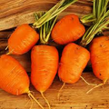 Oxheart Carrot Seeds - Heirloom, Non-GMO, 5-6 Inch Roots, 90 Days