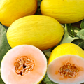 Crenshaw Melon Seeds - Heirloom, Non-GMO | 6-10 lb Sweet Salmon-Pink Flesh (Cucumis melo)