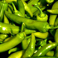 Barker Hot Pepper Seeds (Capsicum annuum) - 250 mg, Heirloom, For Salsas & Cooking