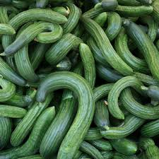 Metki Armenian Dark Green Cucumber - 30 Seeds (Cucumis melo) Heirloom, Sweet Crisp