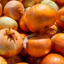 Onion Utah Yellow Sweet Spanish Seeds (Allium cepa) - 250 mg Heirloom Seed