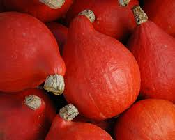 Red Kuri Squash Seeds - Non-GMO Heirloom Winter Squash, 10 Seeds
