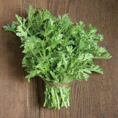 500 Shungiku Seeds - Edible Chrysanthemum (Garland Chrysanthemum) | Tongho Choy Suy Seeds