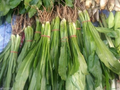 Culantro Ngo Gai Seeds for Planting (100mg) - Eryngium foetidum