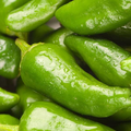Padron Pepper Seeds (Capsicum annuum) - 10 Seeds, Mild Spanish Pepper