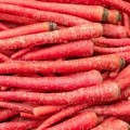 Atomic Red Carrot Seeds - Heirloom Non-GMO, 150-15,000 Seeds, Deep Red Roots