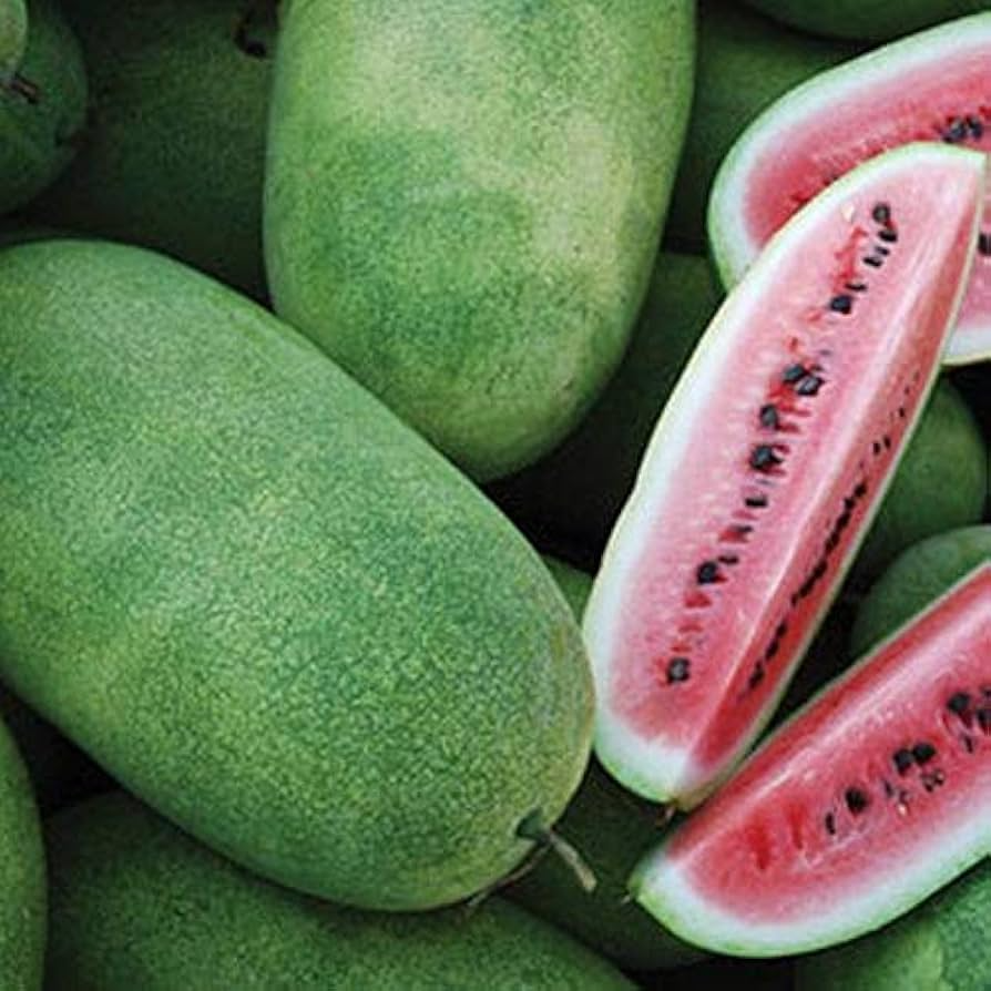 Charleston Grey Watermelon Seeds - Heirloom, Non-GMO, Fusarium & Anthracnose Resistant