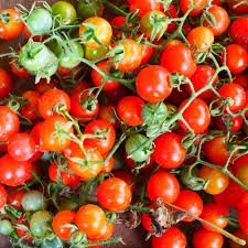 Matt’s Wild Cherry Tomato Seeds - 25 Seeds | Heirloom, Sweet Flavor, Indeterminate