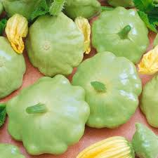 Bennings Green Tint Scallop Squash Seeds - Heirloom Cucurbita pepo, 2-3 Inch, Deer Resistant, Non-GMO, Zones 3-10