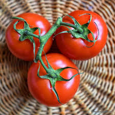 Floradade Tomato Seeds - Heirloom, Heat-Tolerant, Non-GMO, 5-7 oz Fruits