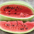 Charleston Grey Watermelon Seeds (Citrullus lanatus) - 20 Seeds