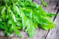 Roquette Arugula Seeds - Heirloom, Non-GMO, 40 Days to Maturity