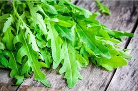 Roquette Arugula Seeds - Heirloom, Non-GMO, 40 Days to Maturity