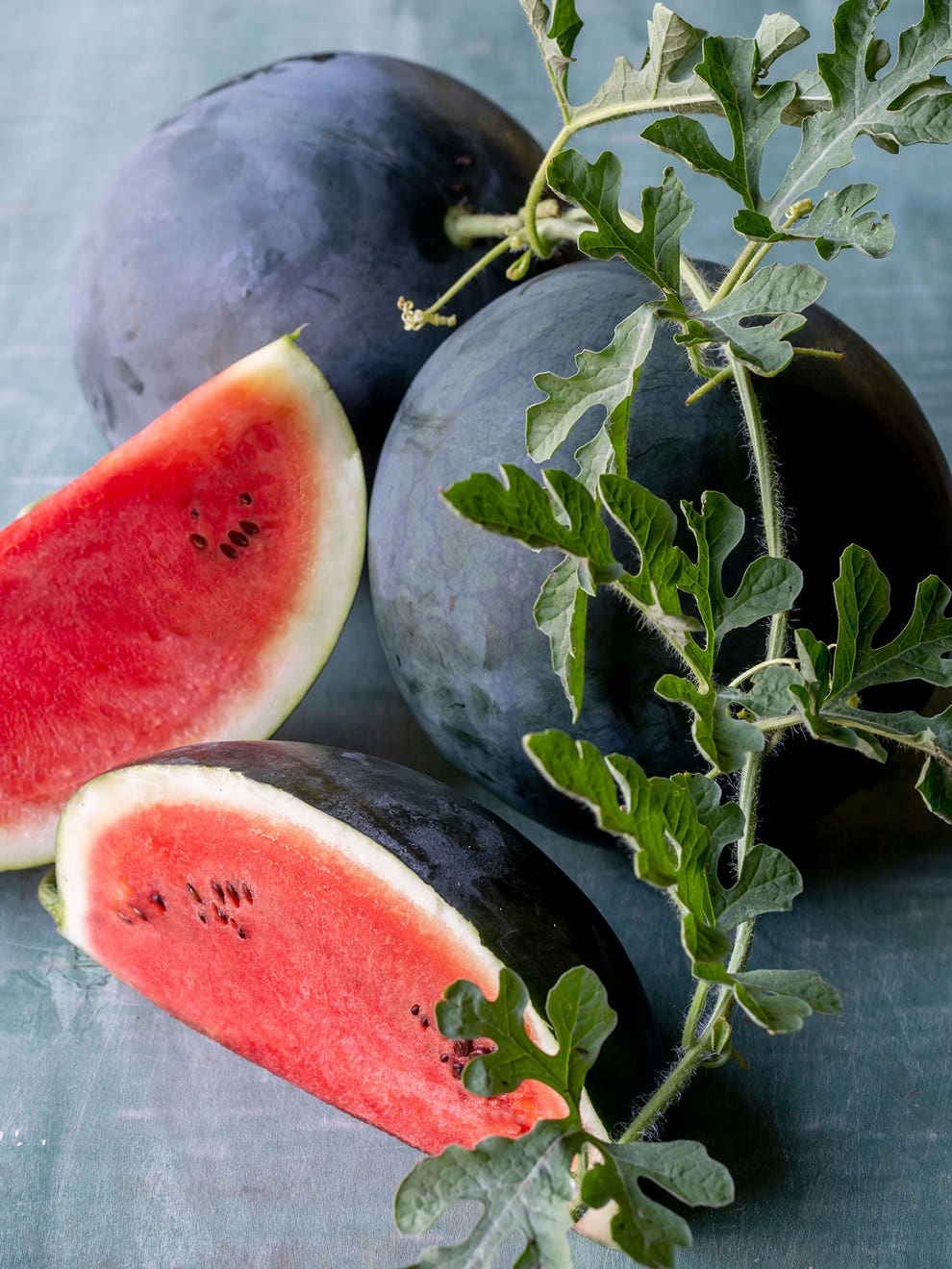 Sugar Baby Watermelon Seeds - 25 Heirloom Citrullus lanatus Mini Watermelon Seeds