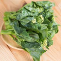 Chinese Broccoli Kailaan Seeds (500mg) – Open Pollinated, Tender Stems & Leaves