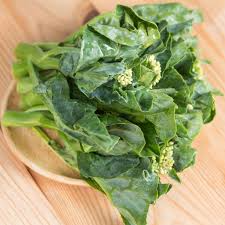 Chinese Broccoli Kailaan Seeds (500mg) – Open Pollinated, Tender Stems & Leaves