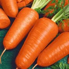 Red Cored Chantenay Carrot Seeds | Heirloom Non-GMO, 70 Days, Juicing & Storage