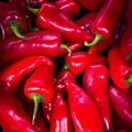 Fresno Chile Hot Pepper Seeds (Capsicum annuum) - 250mg, Medium Heat, Heirloom