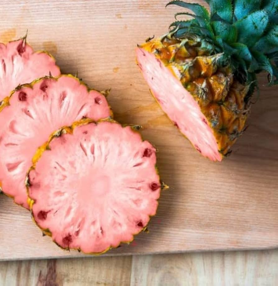 Pinkglow Pineapple Seeds - 15 Rare Seeds for Home Garden (Pink Flesh) | USA Grown