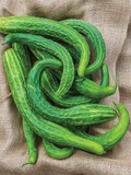 Suyo Long Cucumber Seeds - Heirloom Burpless & Bitter-Free, 60 Days