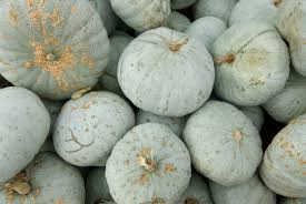 Blue Hubbard Squash Seeds - Heirloom Winter Squash, Non-GMO, Deer-Resistant
