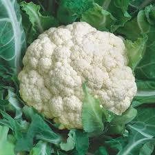 Self Blanching Cauliflower Seeds - 1g for Planting, Tender White Heads, Mild Flavor