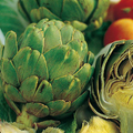 Artichoke Green Globe Seeds – Heirloom, Perennial, High-Yield (500mg) for Garden & Containers