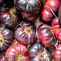 Cherokee Purple Tomato Seeds - Heirloom Solanum lycopersicum, Indeterminate, 80–85 days