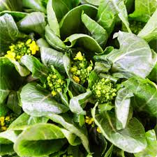 Yu Choy Sum Seeds 500mg - Flowering Brassica Jung Green (Brassica rapa var. parachinensis) Heirloom Non-GMO